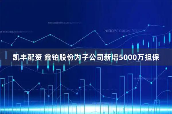 凯丰配资 鑫铂股份为子公司新增5000万担保