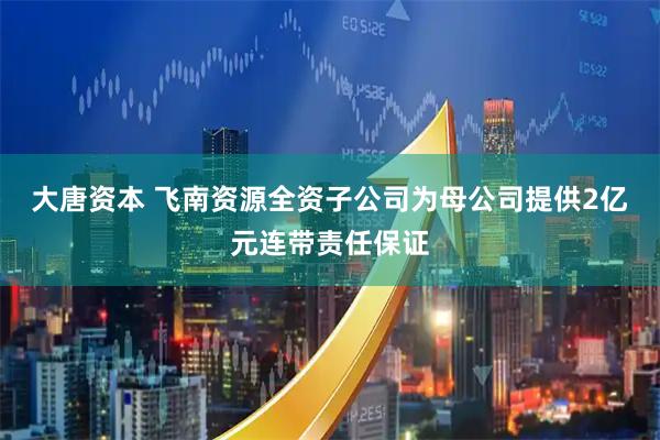 大唐资本 飞南资源全资子公司为母公司提供2亿元连带责任保证