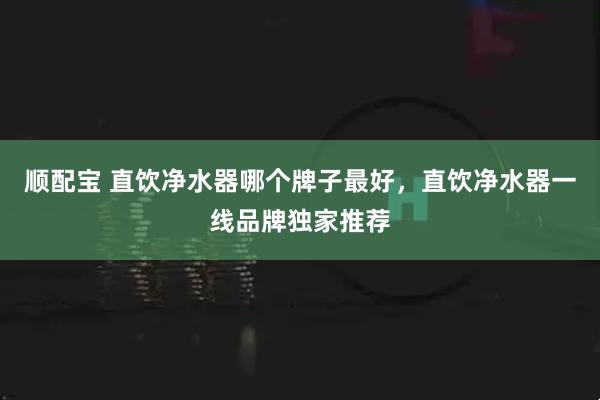 顺配宝 直饮净水器哪个牌子最好，直饮净水器一线品牌独家推荐