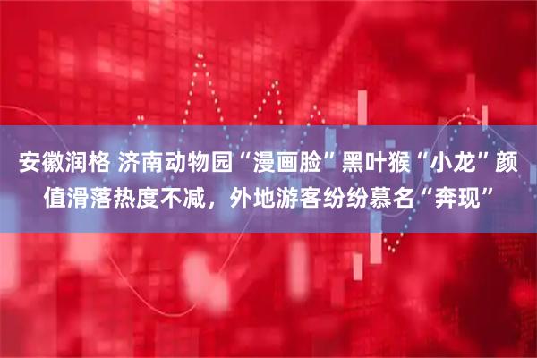 安徽润格 济南动物园“漫画脸”黑叶猴“小龙”颜值滑落热度不减，外地游客纷纷慕名“奔现”
