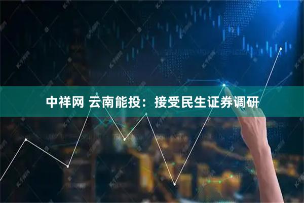 中祥网 云南能投：接受民生证券调研
